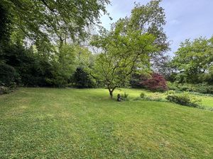 GARDEN FROM SIDE- click for photo gallery